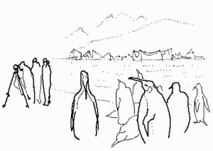 penguins