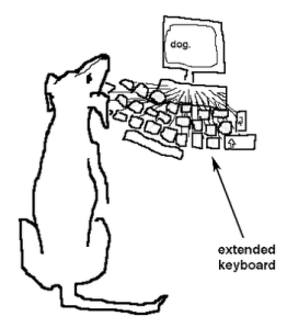 Simon Faithfull dog type