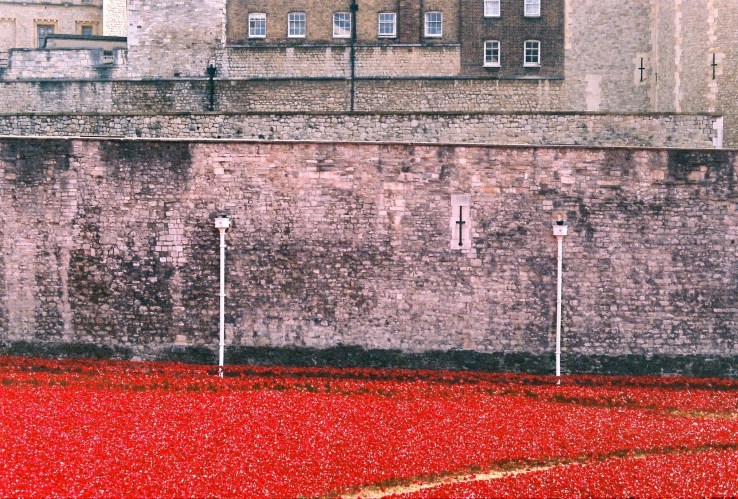 2014-11-03 12.44.38-12