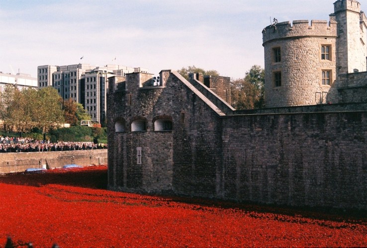 2014-11-03 12.44.38-13